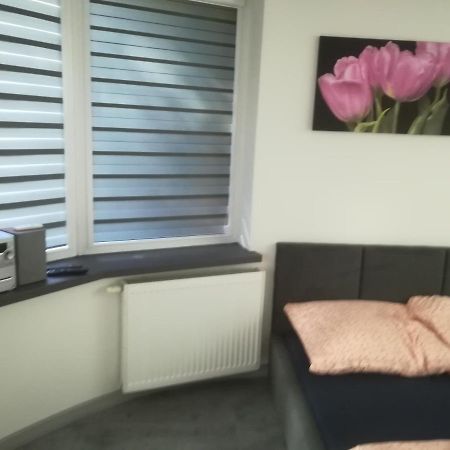 Appartamento Viktoria Ełk Esterno foto