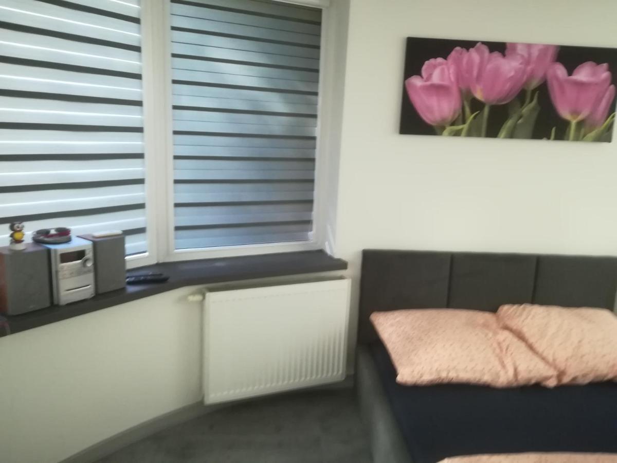 Appartamento Viktoria Ełk Esterno foto